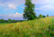 "Разнотравье" холст/масло 35см x 52см 2012 г.