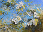 "Яблони цвет" холст, масло. 30х40 см, 2016 г. цена 10000 руб.